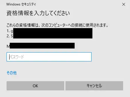 お名前.com VPSのリモート接続パスワード入力画面|接続認証の例