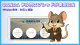 OANDAドル円スプレッド異常拡大｜440pips発生時の対応と結論