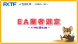 MT4対応の国内FX業者比較｜EA運用向き口座の選び方