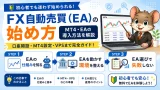 EA自動売買の仕組みと始め方ガイド